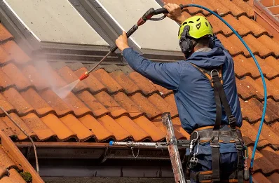 Démoussage et hydrofuge de toiture à Guchan